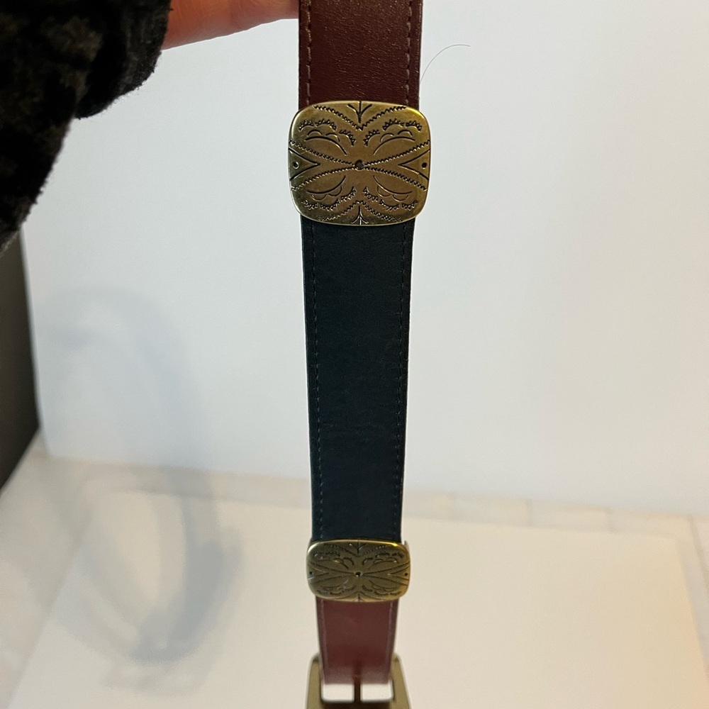 Multi-Color Leather Brighton Belt - image 3
